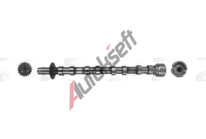 AE Vačkový hřídel AE CAM1019, CAM1019 AE Vačkový hřídel AE CAM1019, CAM1019