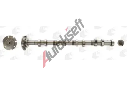 AE Vačkový hřídel AE CAM956, CAM956 AE Vačkový hřídel AE CAM956, CAM956