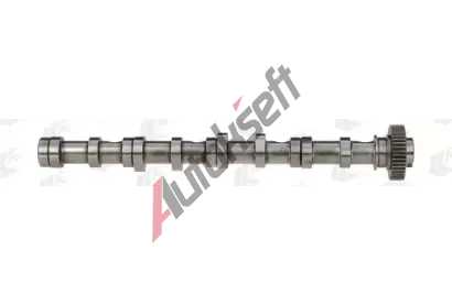 AE Vačkový hřídel AE CAM961, CAM961 AE Vačkový hřídel AE CAM961, CAM961