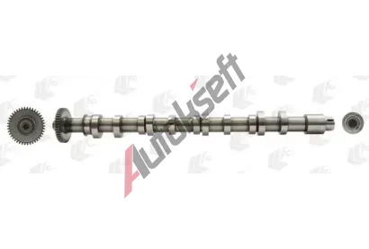 AE Vačkový hřídel AE CAM962, CAM962 AE Vačkový hřídel AE CAM962, CAM962