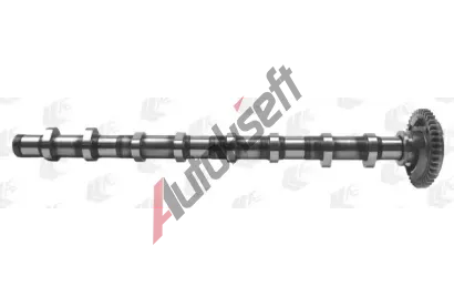 AE Vačkový hřídel AE CAM977, CAM977 AE Vačkový hřídel AE CAM977, CAM977