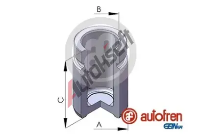 AUTOFREN SEINSA Píst brzdového třmenu AFR D025253, D025253 AUTOFREN SEINSA Píst brzdového třmenu AFR D025253, D025253