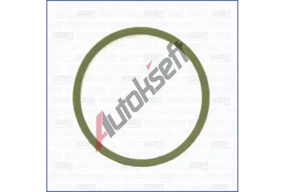 AJUSA Těsnění kolena sacího potrubí AJS 24021300, 24021300 AJUSA Těsnění kolena sacího potrubí AJS 24021300, 24021300
