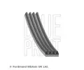 Ozubený klínový řemen BLUE PRINT ‐ BLP AD04R855  Ozubený klínový řemen BLUE PRINT ‐ BLP AD04R855