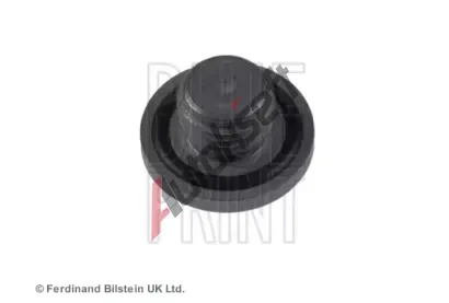 BLUE PRINT Závitová zátka olejové vany BLP ADW190101, ADW190101 BLUE PRINT Závitová zátka olejové vany BLP ADW190101, ADW190101