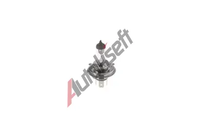 BOSCH Žárovka BO 1987302742, 1 987 302 742 BOSCH Žárovka BO 1987302742, 1 987 302 742