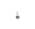 BOSCH Žárovka BO 1987302810, 1 987 302 810