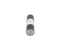 BOSCH Palivový filtr BO F026402066, F 026 402 066