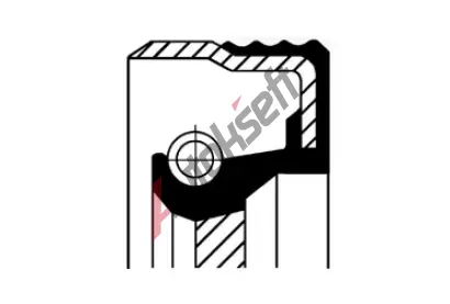 CORTECO Těsnící kroužek hřídele - vačkový hřídel COR 12012411B, 12012411B CORTECO Těsnící kroužek hřídele - vačkový hřídel COR 12012411B, 12012411B