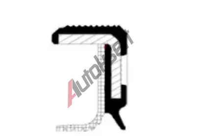 CORTECO Těsnící kroužek hřídele - vačkový hřídel COR 20027969B, 20027969B CORTECO Těsnící kroužek hřídele - vačkový hřídel COR 20027969B, 20027969B