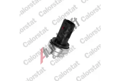 CALORSTAT by Vernet Senzor teploty chladicí kapaliny CSV WS3019, WS3019 CALORSTAT by Vernet Senzor teploty chladicí kapaliny CSV WS3019, WS3019
