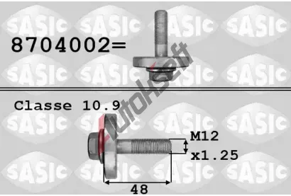 SASIC Šroub řemenice SAS 8704002, 8704002 SASIC Šroub řemenice SAS 8704002, 8704002