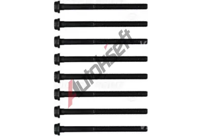 REINZ Sada šroubů pro hlavy válců VR 14-32106-01, 14-32106-01 REINZ Sada šroubů pro hlavy válců VR 14-32106-01, 14-32106-01