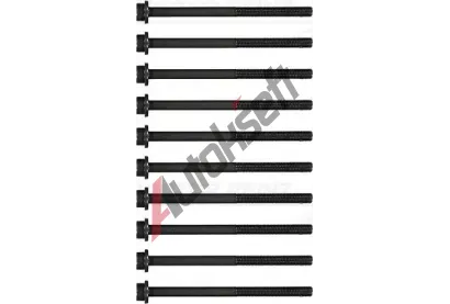 REINZ Sada šroubů pro hlavy válců VR 14-32207-01, 14-32207-01 REINZ Sada šroubů pro hlavy válců VR 14-32207-01, 14-32207-01